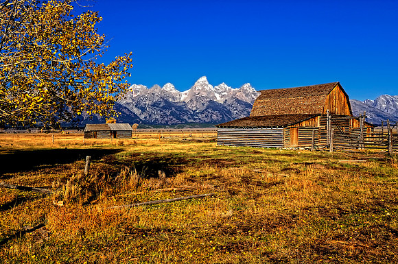 Grand Tetons Cabin