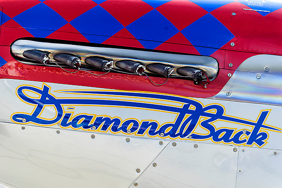 Diamond Back