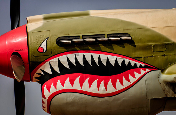 Flying Tiger