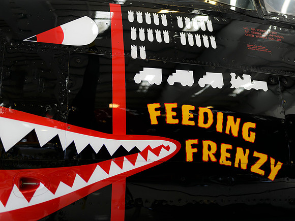 Feeding Frenzy