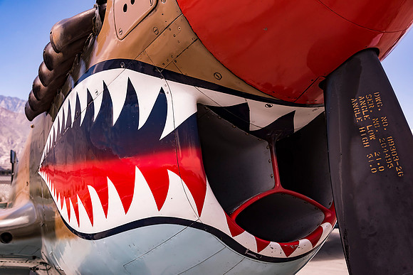 P-40 Shark Teeth