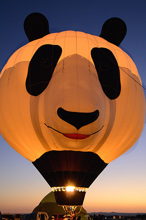 Panda