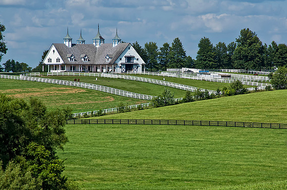Horse Farm in Lexington