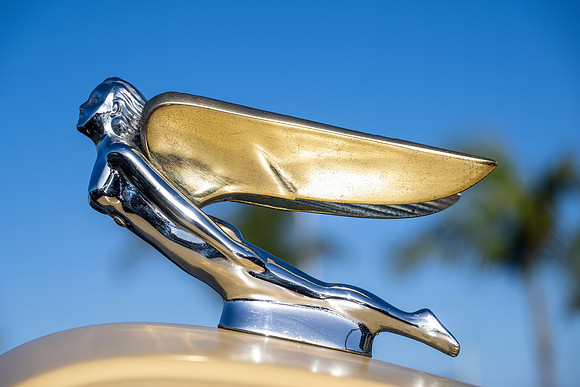 Winged nude
