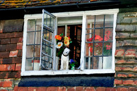 Doggie in the Window