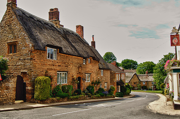 Country Thach Row 2