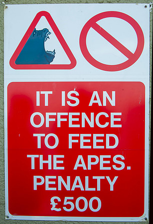 500 pound offence