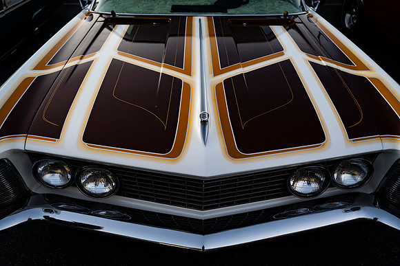 Brown and White hood paint scheme