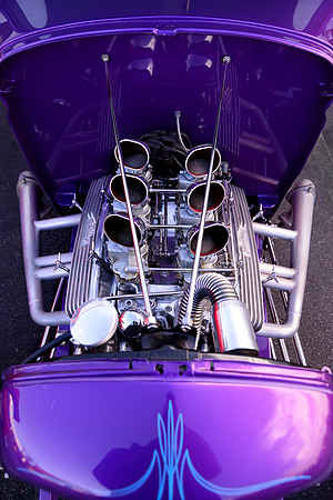 Six Pack Purple Rod