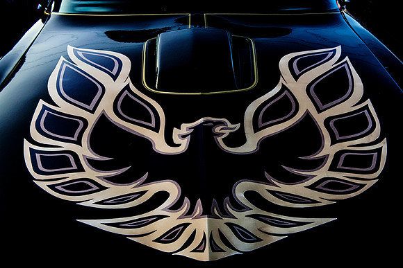 Firebird
