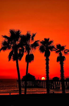 Sunset HB Pier with Palms
