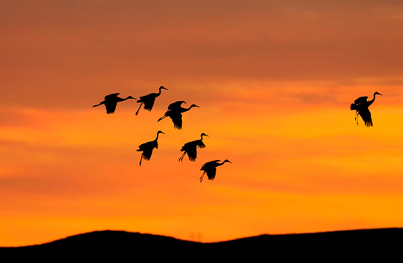 Sunset Parachute landings