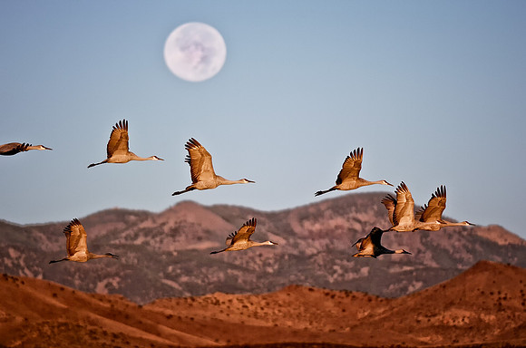 Moon setting over the Chupaderas