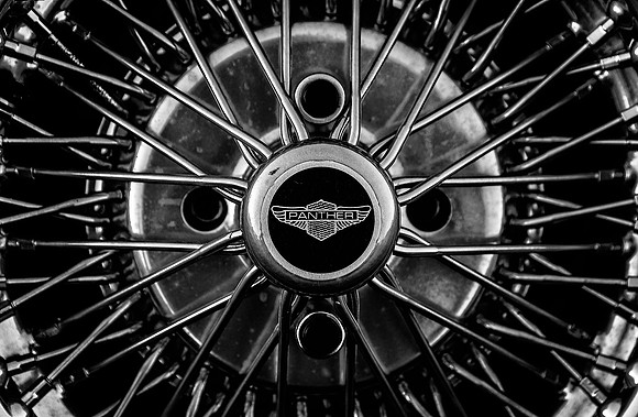 Panther wire wheel