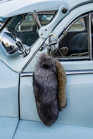Tails