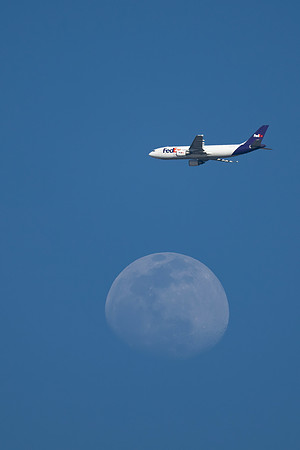 Fly me to the Moon