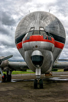 Erickson Nose