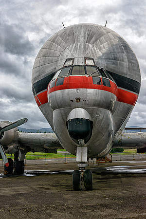 Erickson Nose